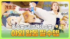 진드기 너 저리가! 향기롭고 상쾌하게 어질리티 활동을 마무리하는 방법!🌼 | JTBC 250720 방송