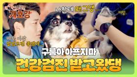 아프지 말게... 과연 구름이의 건강검진 결과는?!☁️ | JTBC 250720 방송