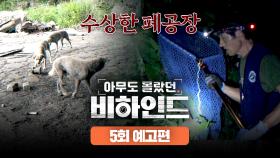 아무도 몰랐던, 비하인드 5회 예고편 - 거리를 장악한 들개 무리