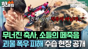 ＂진짜 이게 지옥이 아닐까..＂ 보금자리부터 생명들까지 모든 것을 삼킨 괴물 폭우 수해 현장ㅣ아무도 몰랐던, 비하인드｜JTBC 250722 방송