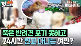 ＂지금 잠자고 있는 거야..＂ 🚫미라가 된 시체 상태🚫 죽은 반려견을 365일 안고 다니는 여인ㅣ아무도 몰랐던, 비하인드｜JTBC 250722 방송