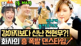 ↖모든 견생들 총출동↗ 화사가 준비한 댕신나는 ✨댄스 타임✨ 흥 주체 못 하는 전현무 등장💃?!｜집 나가면 개호강｜JTBC 250720 방송