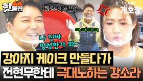 ＂나랑 있는데 왜 한숨을...＂ 🎓개호강 유치원 졸업식 준비🎓 자꾸 킹받게 하는(?) 전현무 때문에 찐으로 정색한 강소라ㅋㅋ｜집 나가면 개호강｜JTBC 250727 방송