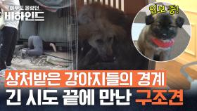 열악한 상황 극복하고 구조 성공! 