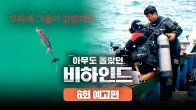 아무도 몰랐던, 비하인드 6회 예고편 - 인간의 도움이 필요한 돌고래, 행운이