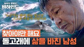 3년 동안 한 돌고래만 쫓아다닌 남성, 그는 왜 이러한 행동을 하는 것일까? | JTBC 250805 방송