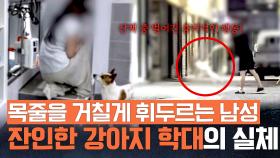 ＂목줄 잡고 강아지를 내팽개쳐...＂ 산책 중 벌어진 난폭한 행동! | JTBC 250819 방송