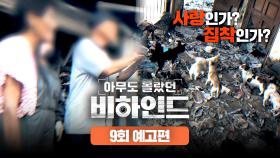 아무도 몰랐던, 비하인드 9회 예고편 - 수십 마리의 개들을 둔 갈등