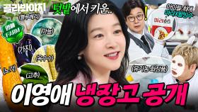 💥장금이 실존💥 냉장고 2대+유기농 작물?! 화장품도 직접 만드는 이영애 냉장고 공개｜노각, 루콜라, 임연수어, 장어｜냉장고를 부탁해｜JTBC 250831 방송