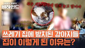 쓰레기 집에 갇힌 강아지들, 주인 할머니는 
