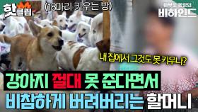＂왜 이러고 사시는 걸까요?＂ 개 18마리 키우는 할머니의 도저히 이해할 수 없는 행동ㅣ아무도 몰랐던, 비하인드｜JTBC 250902 방송