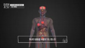 구강 내 유해균이 체내 염증을 유발한다?!💥 | JTBC 250906 방송