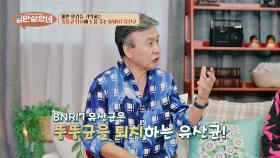 중년 다이어트 성공 비결! 비만 기억 삭제하는 다이어트 유산균 ✨BNR17✨ | JTBC 250917 방송