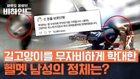 박스 안 고양이를 들고가는 헬멧 남성?! 결국 죽음으로 드러난 충격적 사건 | JTBC 250923 방송