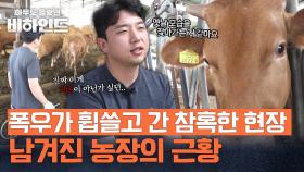 250마리 중 60여 마리 폐사... 폭우가 휩쓸고 간 농장의 근황 | JTBC 250923 방송