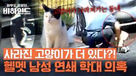 ※긴급 제보※ 단순 사건이 아니었다(!) 사라진 고양이들이 더 있다?!💥 | JTBC 250923 방송