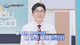 툭! 치면 부러지는 뼈, 단단하게 채워주는 「MBP」✨ | JTBC 251013 방송