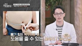 BNR17 유산균이 다이어트를 도울 수 있는 이유는? | JTBC 251018 방송