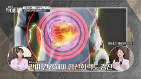 우리 몸을 지키는 방패! 면역력 & 항산화력 지켜주는 