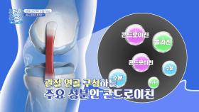 나이 들수록 고장 나는 관절🥺 콘드로이친으로 관리하자↗ | JTBC 251027 방송