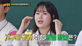 (신기~) 얼굴만 보고 감자 or 고구마 취향 맞추는 엄지윤! | 아는 형님 | JTBC 251025 방송
