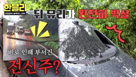 이건 100:0이지💥 전신주에 차가 반파되었는데 한전은 