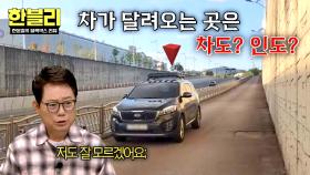 [그 길이 알고 싶다] 차와 보행자가 공존하는 요상한 도로의 정체...? | JTBC 251105 방송