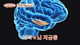 내 소중한 기억! 