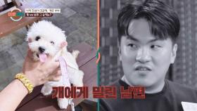 남편 VS 반려견 | 이혼숙려캠프 | JTBC 251113 방송