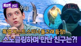 ⭐특별 게스트⭐ 하와이 바다 한가운데서 만난 스피너 돌고래🐬 | JTBC 251117 방송