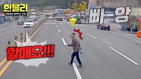 도로 위의 무법자 💥25톤 덤프트럭💥 앞 무단횡단하는 어르신?! | JTBC 251119 방송