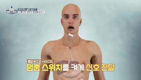 폭주하는 혈당 잡기↗ 체질을 개선해 주는 ✨혈당유산균 HAC01✨ | JTBC 251124 방송