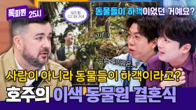 기린에게 부케 주는 듣도 보도 못 한 서비스🦒 동물원에서 하는 이색 결혼식😯 | JTBC 251201 방송