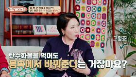 끊어도 다시 찾는 탄수화물… BNR17이 ‘몸 밖으로 배출’해준다! | JTBC 251203 방송