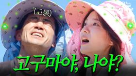 백도빈 진심 질리게 한 정시아 멘트｜대놓고 두집살림｜JTBC 251202 방송