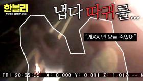 도로에서 냅다 따귀 맞은 제보자?! 무차별 분노의 황당한 이유... | JTBC 251203 방송