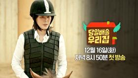 [캐릭터 티저] 김성령의 영화 같은 하루, 승마장 속 우리집🐎 | 〈당일배송 우리집〉 12/16(화) 저녁 8시 50분 첫 방송!