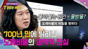 뉴턴도, 볼타도 밝혀내지 못한 기현상👻 드디어 밝혀진 도깨비불의 진실(!) | JTBC 251210 방송