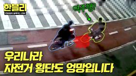 부딪칠 수밖에 없는 도로? 방향 표시도 없는 자전거 횡단도;; | JTBC 251217 방송