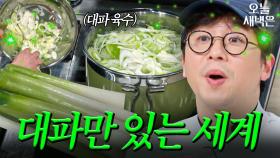 대파 사생활 집착남 최강록의 대파 육수｜냉장고를 부탁해｜JTBC 250209 방송