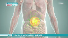 한국형 당뇨가 있다?