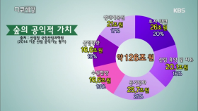 숲의 공익적 가치