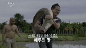 리마의 맛 - 세상을 바꾸는 요리사들의 도시