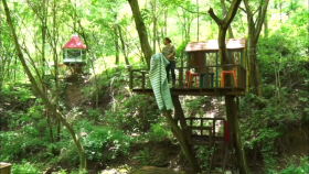기순씨가 손수 만든 트리 하우스들