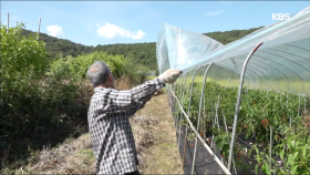 비닐이 계속해서 날아가는데..