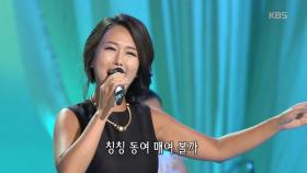 박혜신 - 봄버들