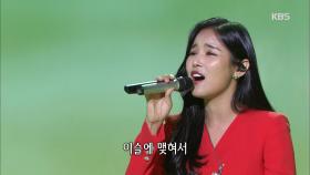 조정민 - 코스모스 피어 있는 길