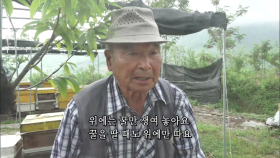 아카시아 꽃이 피는 달~ 바빠진 양봉장 김홍열♥장정님 부부