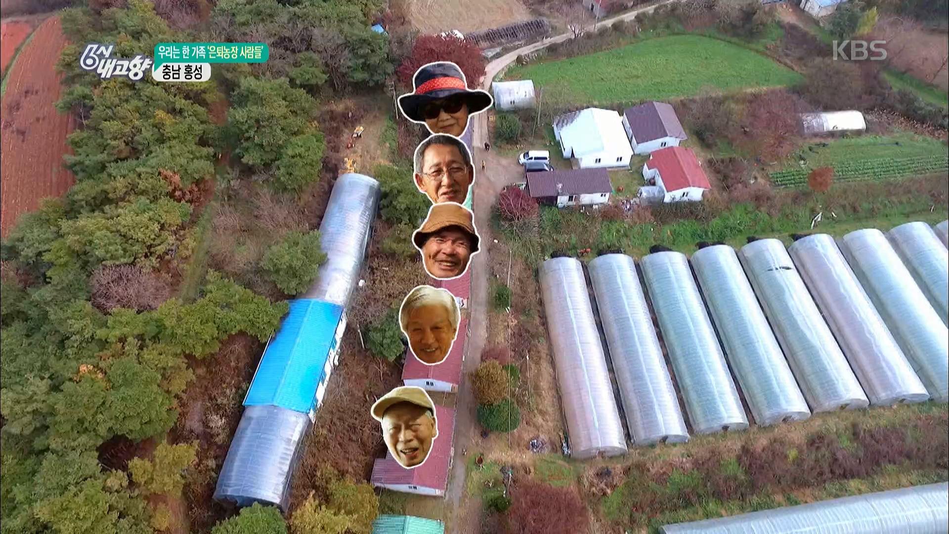 우리는 한 가족! 은퇴농장 사람들 - 충남 홍성 | ZUM TV