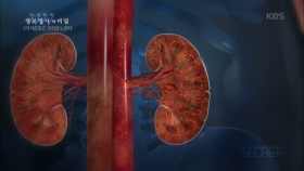 대사성 질환의 주범, 폭식보다 야식이 문제!